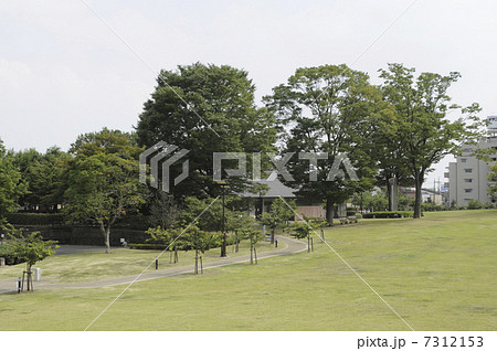 城址公園の広場 7312153