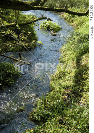 富士山の湧き水 富士山の湧き水 7312236