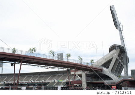 マツダスタジアムのスタンド 7312311