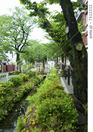 北沢川緑道 7312312