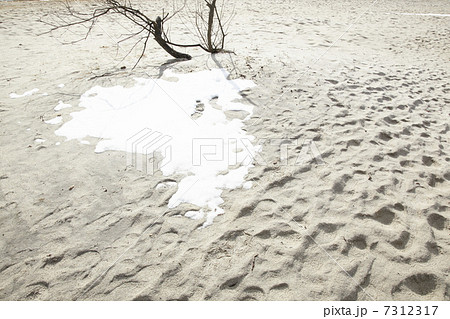 冬の砂浜の雪と足跡 冬の砂浜の雪と足跡 7312317