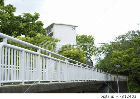 団地と陸橋 7312403