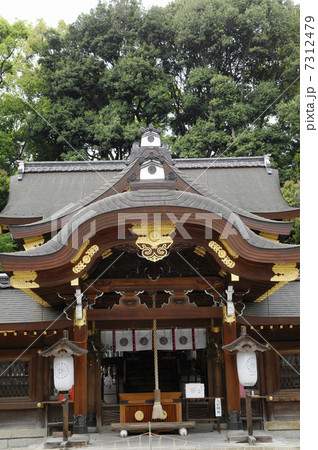 京都　今宮神社の本社 7312479