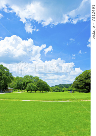 芝生広場 芝生広場 7312491