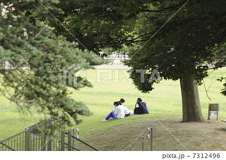 城址公園の広場 7312496