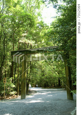 伊勢神宮外宮の参道 伊勢神宮外宮の参道 7312564