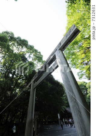 参道の鳥居 7312631