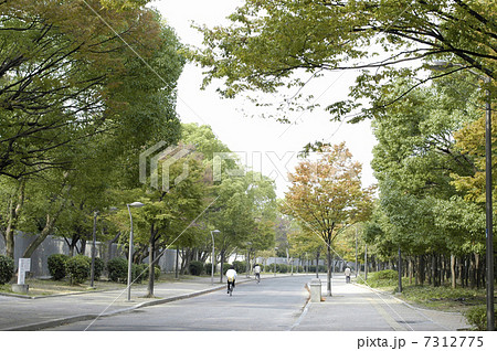 長居公園の周回道路 7312775