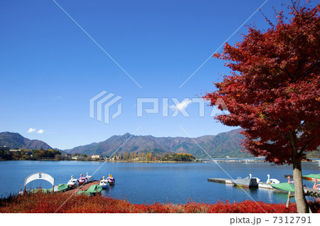 秋の河口湖 7312791