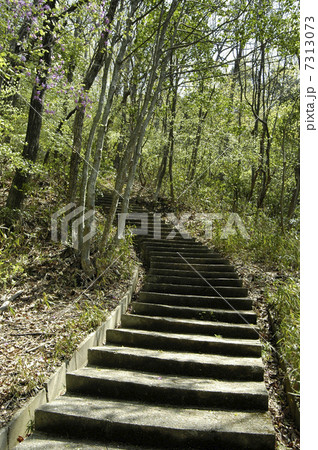 緑道の階段 7313073