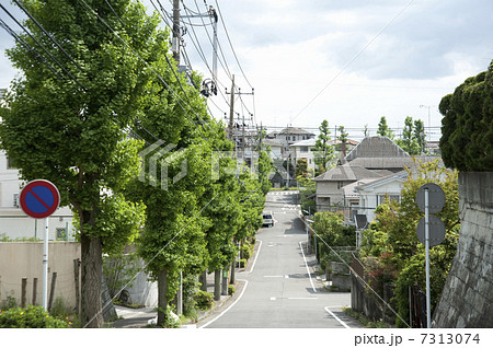住宅地の道 住宅地の道 7313074