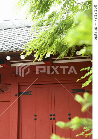 代沢阿川家の門 7313160