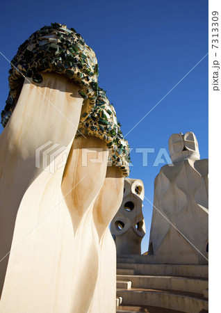 カサミラ 7313309