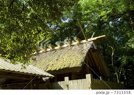 伊勢神宮別宮　風日祈宮の屋根 7313358