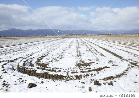 田んぼの雪景色 7313369