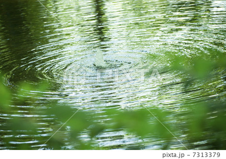 公園の池 公園の池 7313379