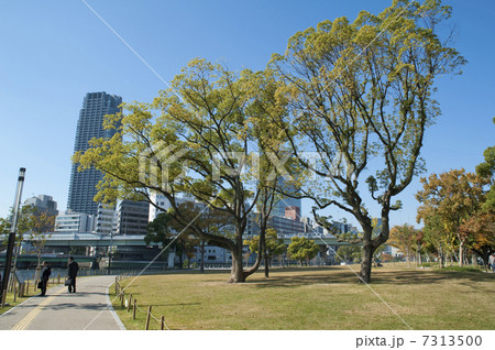 中之島公園 7313500