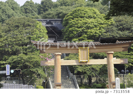 宇都宮二荒山神社の鳥居 7313558