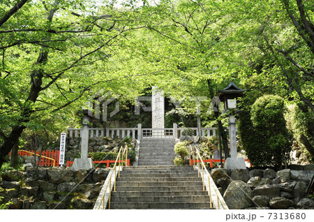 船岡山公園（建勲神社）の階段 7313680