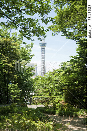 港の見える丘公園からのマリンタワー 7313688