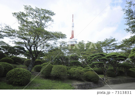 八幡山公園と宇都宮タワー 7313831