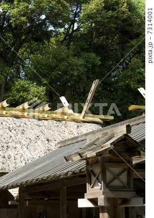 伊勢神宮別宮　月讀宮の屋根 7314001