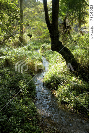 名水の小川 名水の小川 7314002
