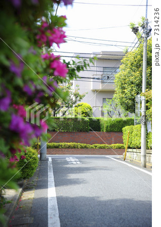 石神井町の住宅街 7314236