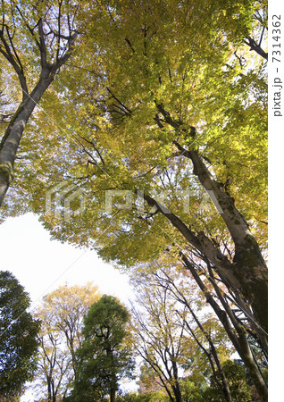 教育の森公園 教育の森公園 7314362