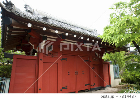 代沢阿川家の門 7314437