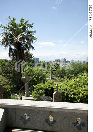 外国人墓地 7314754