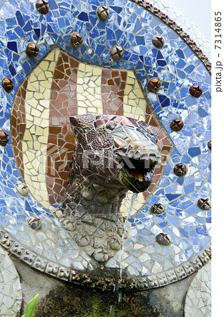 オオトカゲ 7314865