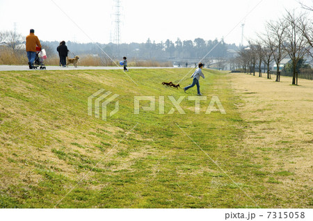 利根川河川敷 利根川河川敷 7315058