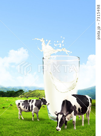 cep_jj_1724298 7315498