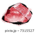 マグロブロック 7315527