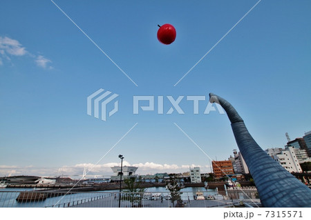 象の鼻パークの風景 7315571