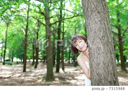 木の陰から顔を出す女性の写真素材