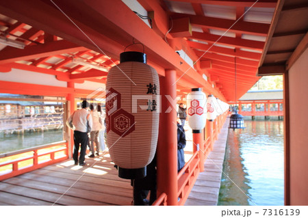 厳島神社ちょうちん 厳島神社ちょうちん 7316139