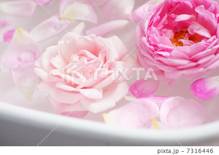 薔薇の花を浮かべたバスタブ 7316446