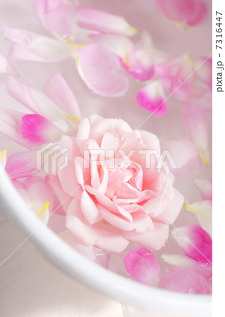 薔薇の花を浮かべたバスタブの写真素材