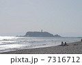 のんびり 7316712