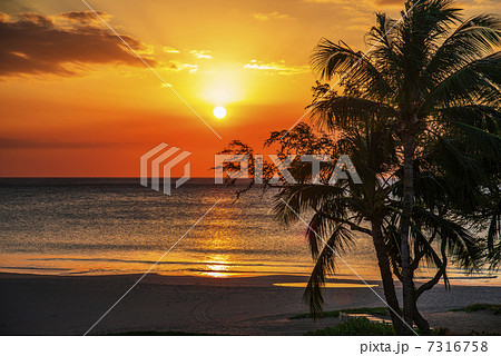 サンセットビーチ 7316758