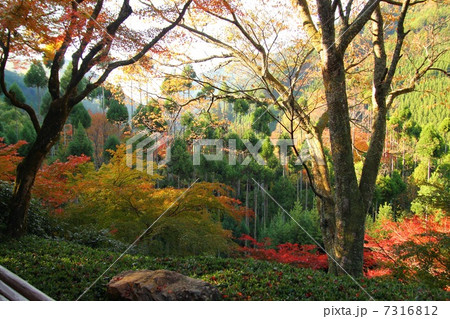 宗蓮寺1 宗蓮寺1 7316812