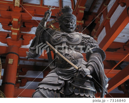 東寺 東寺 7316840