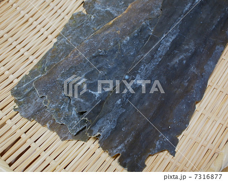 ガゴメ昆布 ガゴメ昆布 7316877