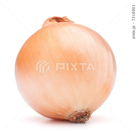 gold onion bulb gold onion bulb 7316901