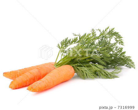 Carrot vegetable with leaves Carrot vegetable with leaves 7316999