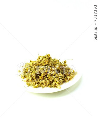 アンチエイジングハーブ・白平皿にカモミールの花茶・白バック縦位置 7317393