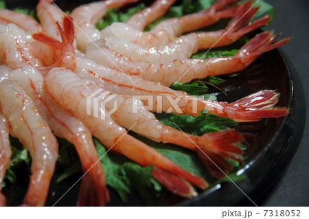 甘エビ 7318052