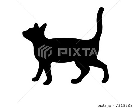 猫のシルエット 影絵 白背景 白黒 Cg 横向き 横 一匹のイラスト素材
